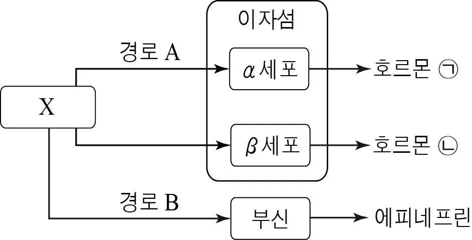 생명과학I 2015년 3회 13번 문제 그림