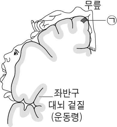 생명과학I 2015년 3회 17번 문제 그림