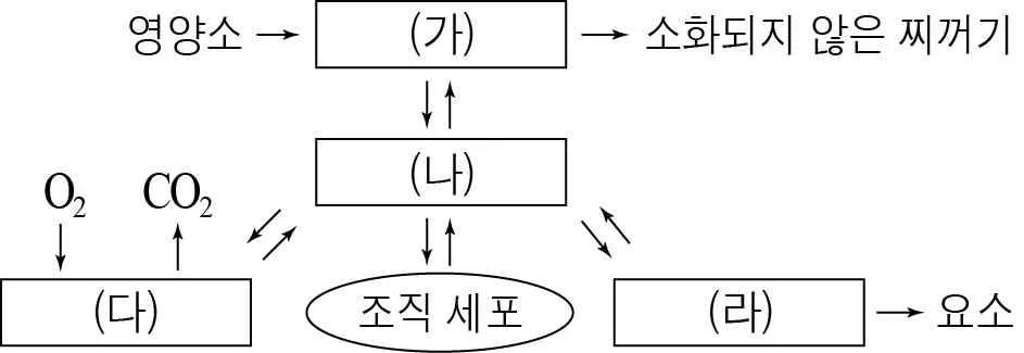 생명과학I 2015년 3회 3번 문제 그림