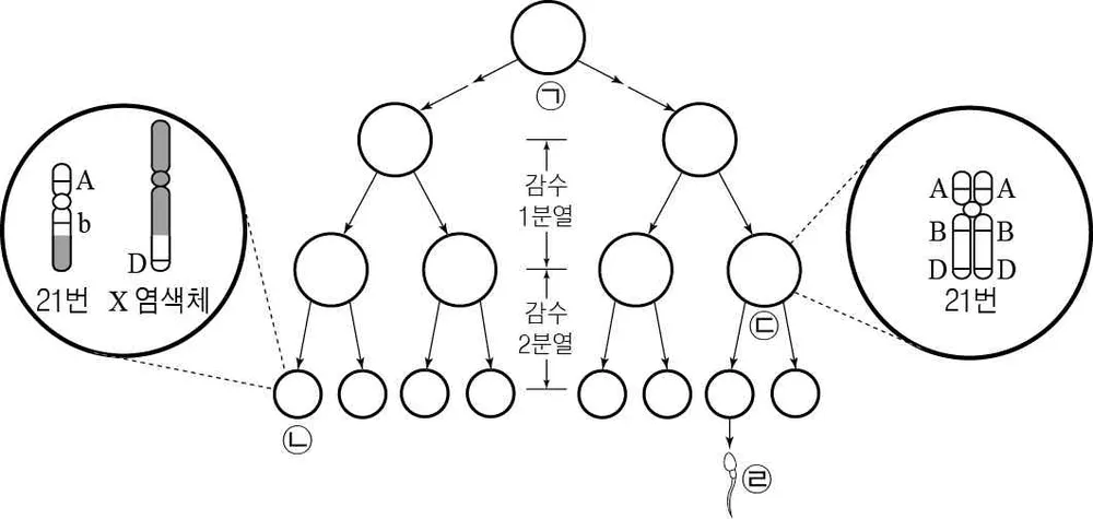 생명과학I 2015년 3회 8번 문제 그림