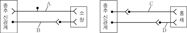 생명과학I 2015년 5회 12번 문제 그림