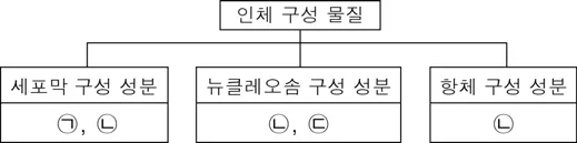 생명과학I 2015년 5회 2번 문제 그림