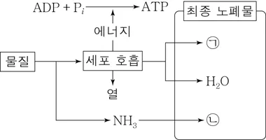 생명과학I 2016년 1회 7번 문제 그림