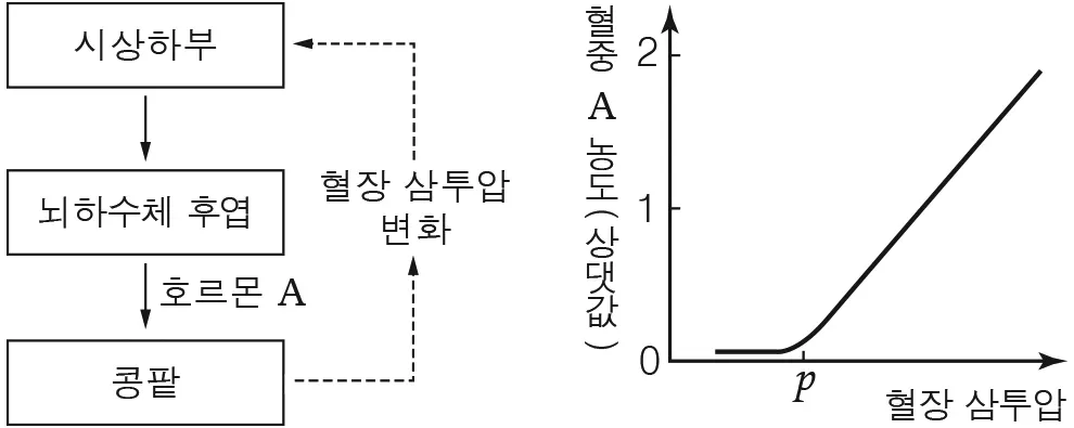 생명과학I 2016년 2회 16번 문제 그림