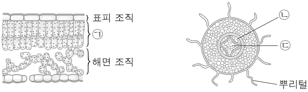생명과학I 2016년 2회 2번 문제 그림