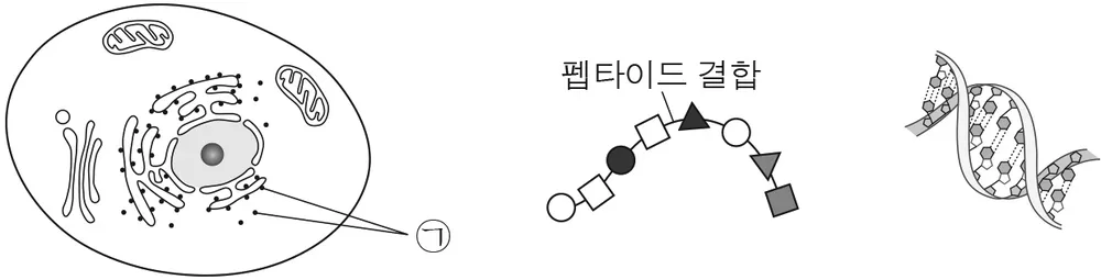 생명과학I 2016년 2회 3번 문제 그림