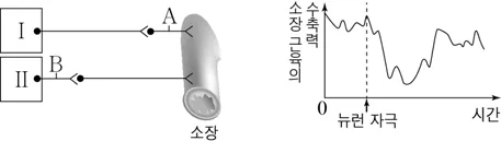 생명과학I 2016년 4회 12번 문제 그림