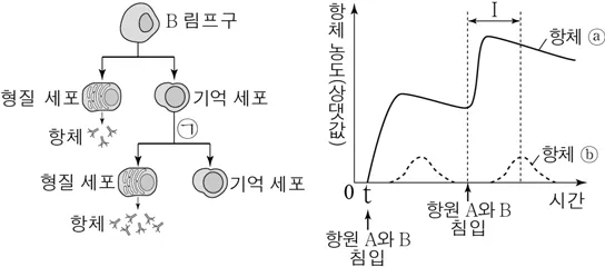 생명과학I 2016년 4회 17번 문제 그림