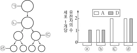 생명과학I 2016년 4회 7번 문제 그림