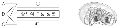 생명과학I 2016년 5회 2번 문제 그림
