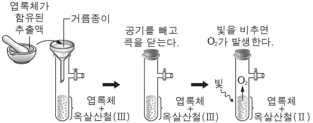 생명과학II 2014년 1회 12번 문제 그림