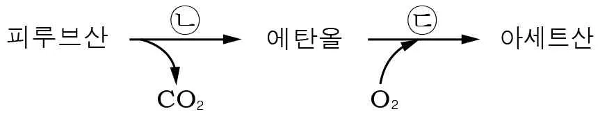 생명과학II 2014년 1회 15번 문제 그림