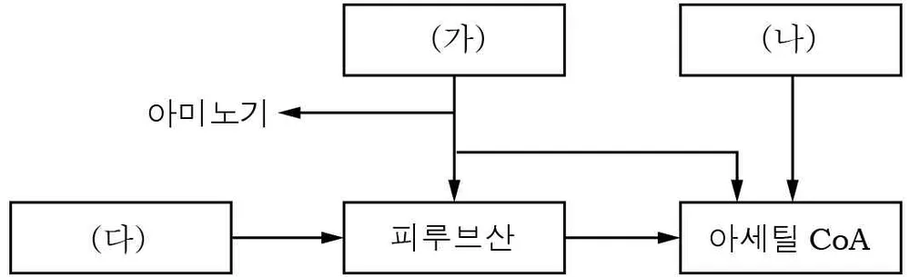 생명과학II 2014년 1회 17번 문제 그림