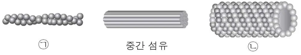 생명과학II 2014년 1회 5번 문제 그림