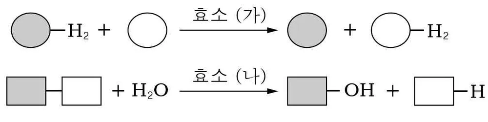 생명과학II 2014년 1회 8번 문제 그림