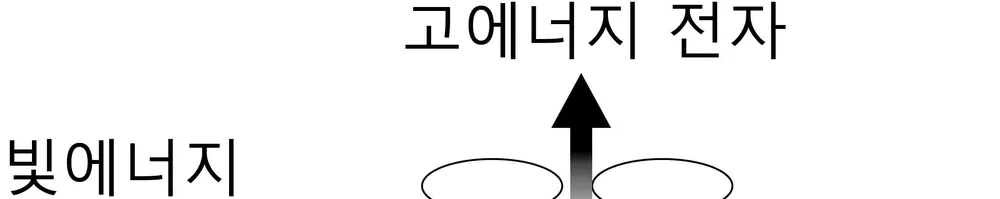 생명과학II 2014년 2회 17번 문제 그림