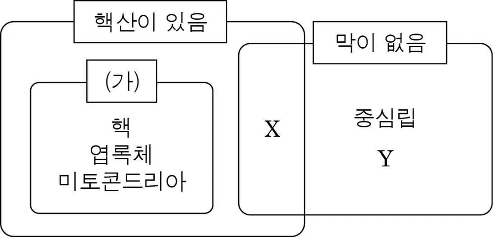 생명과학II 2014년 4회 1번 문제 그림