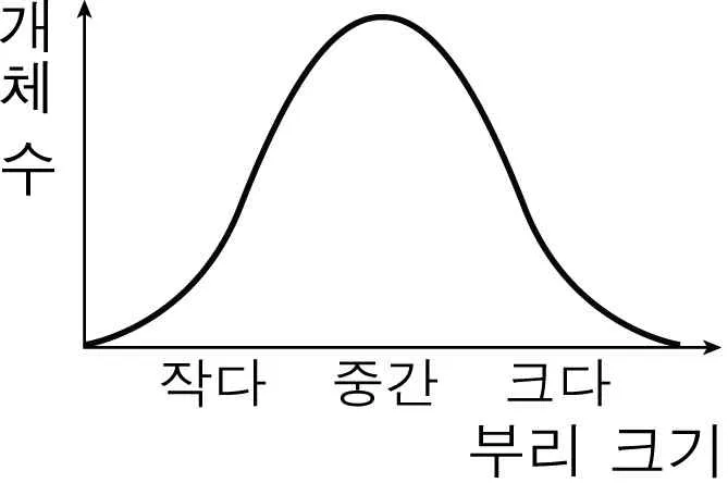 생명과학II 2014년 4회 19번 문제 그림