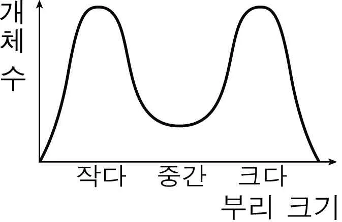 생명과학II 2014년 4회 19번 문제 그림