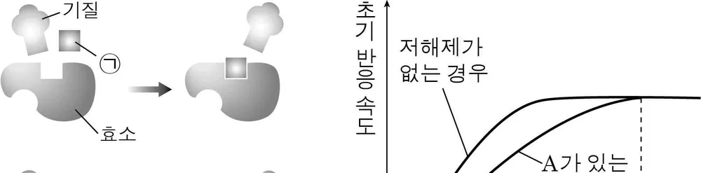생명과학II 2014년 4회 2번 문제 그림