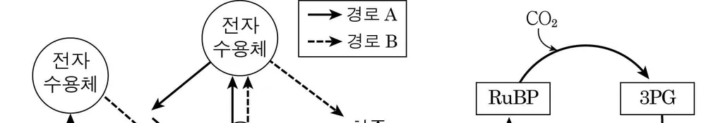 생명과학II 2014년 4회 3번 문제 그림