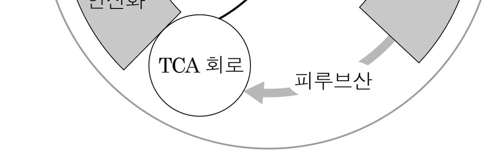 생명과학II 2014년 4회 4번 문제 그림