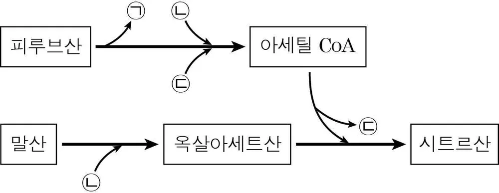 생명과학II 2014년 4회 5번 문제 그림
