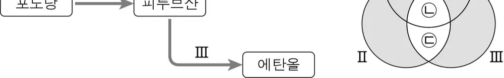 생명과학II 2014년 4회 6번 문제 그림