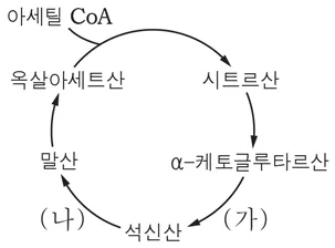생명과학II 2015년 1회 12번 문제 그림
