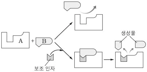 생명과학II 2015년 1회 13번 문제 그림