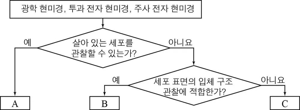 생명과학II 2015년 3회 1번 문제 그림