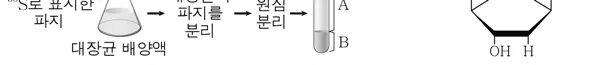 생명과학II 2015년 5회 12번 문제 그림