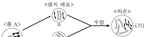 생명과학II 2015년 5회 16번 문제 그림