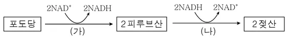 생명과학II 2015년 5회 3번 문제 그림