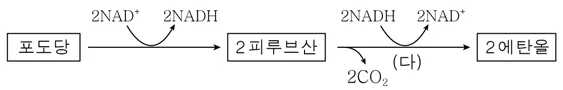 생명과학II 2015년 5회 3번 문제 그림