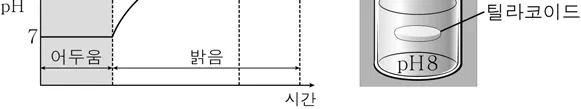 생명과학II 2015년 5회 8번 문제 그림
