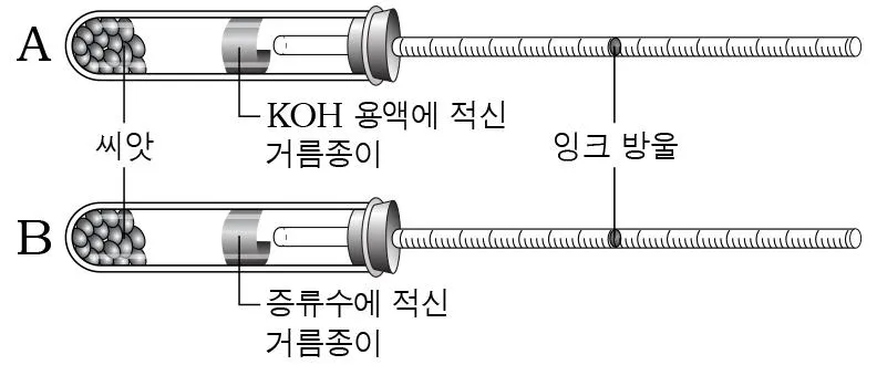 생명과학II 2016년 1회 12번 문제 그림