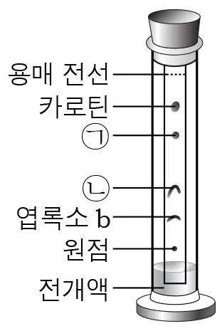 생명과학II 2016년 1회 13번 문제 그림
