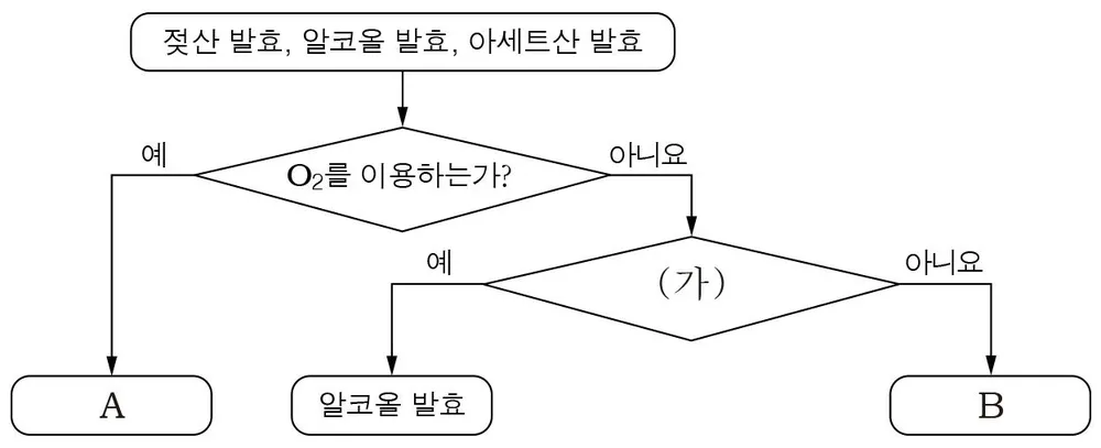 생명과학II 2016년 1회 18번 문제 그림