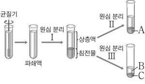 생명과학II 2016년 3회 1번 문제 그림
