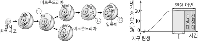 생명과학II 2016년 3회 11번 문제 그림
