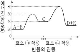생명과학II 2016년 3회 13번 문제 그림
