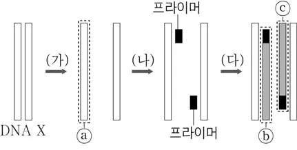 생명과학II 2016년 3회 6번 문제 그림