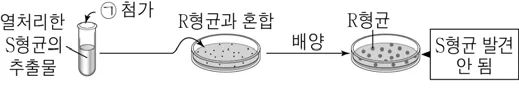 생명과학II 2016년 3회 7번 문제 그림