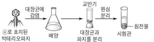 생명과학II 2016년 3회 7번 문제 그림