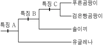 생명과학II 2016년 4회 14번 문제 그림