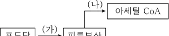 생명과학II 2016년 4회 2번 문제 그림