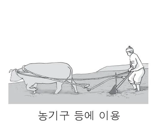 화학I 2016년 2회 1번 문제 그림