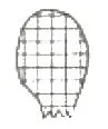 수산양식산업기사 2006년 1회 48번 문제 그림
