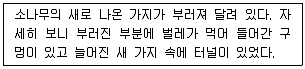 식물보호산업기사 2018년 3회 39번 문제 그림